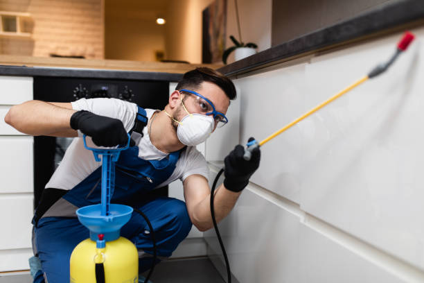 Best Best Pest Control Near Me  in Laconia, NH