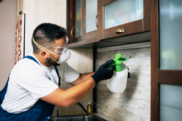 Best Pest Control Near Me in Laconia, NH