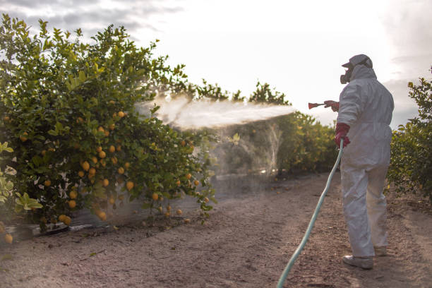 Best Affordable Pest Control Services  in Laconia, NH